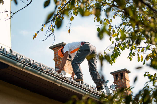 Best Roof Maintenance Services  in Boulevard Gardens, FL