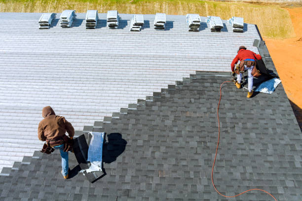 Best Flat Roof Repair Services  in Boulevard Gardens, FL