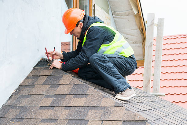 Best Metal Roofing Contractor  in Boulevard Gardens, FL